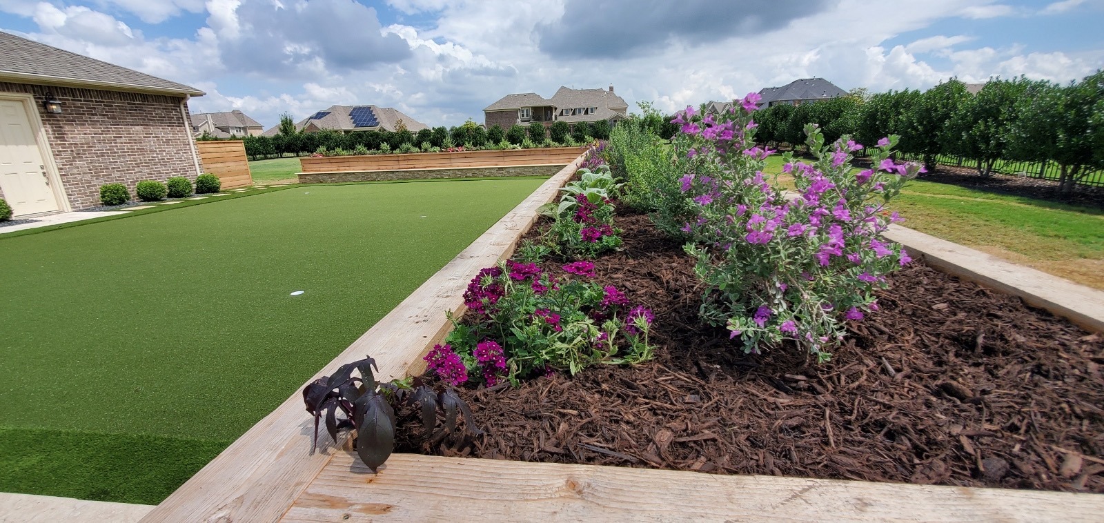 Backyard putting green with vibrant purple flowers.