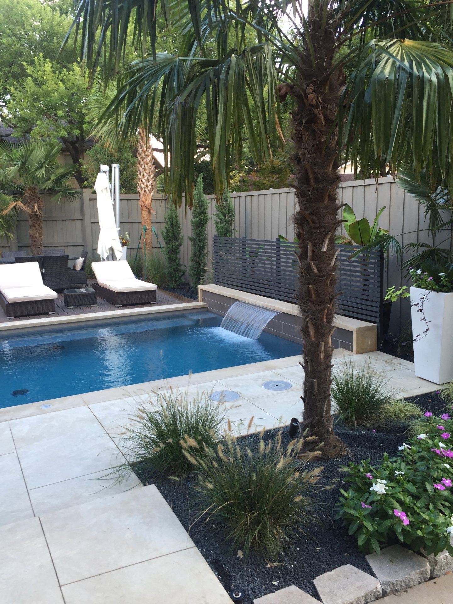 Tropical backyard with pool and palm trees
