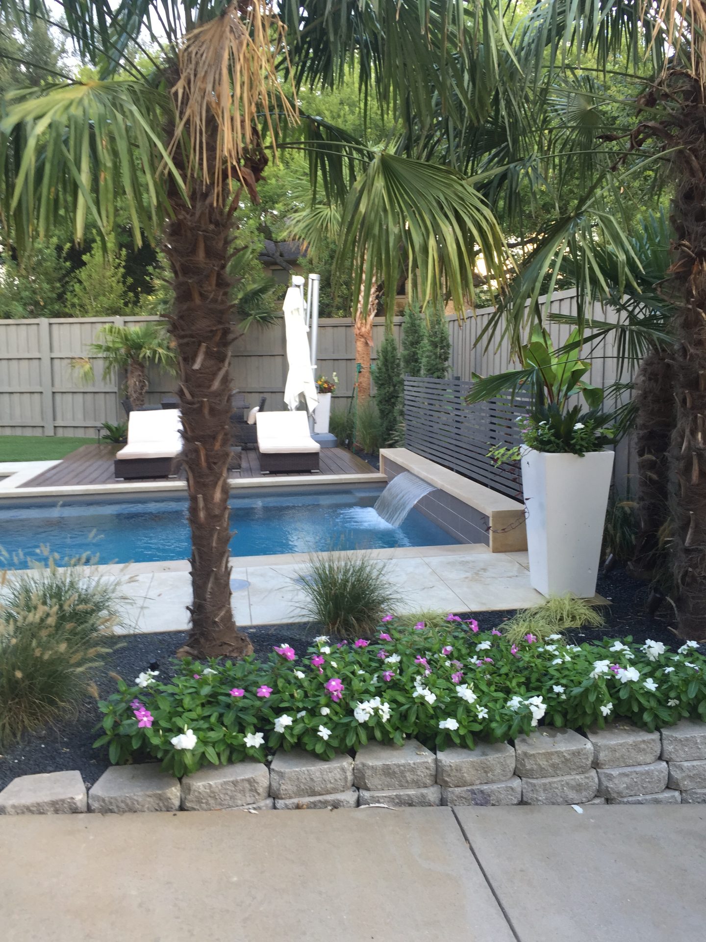 Tropical backyard with pool, flowers, and palm trees.