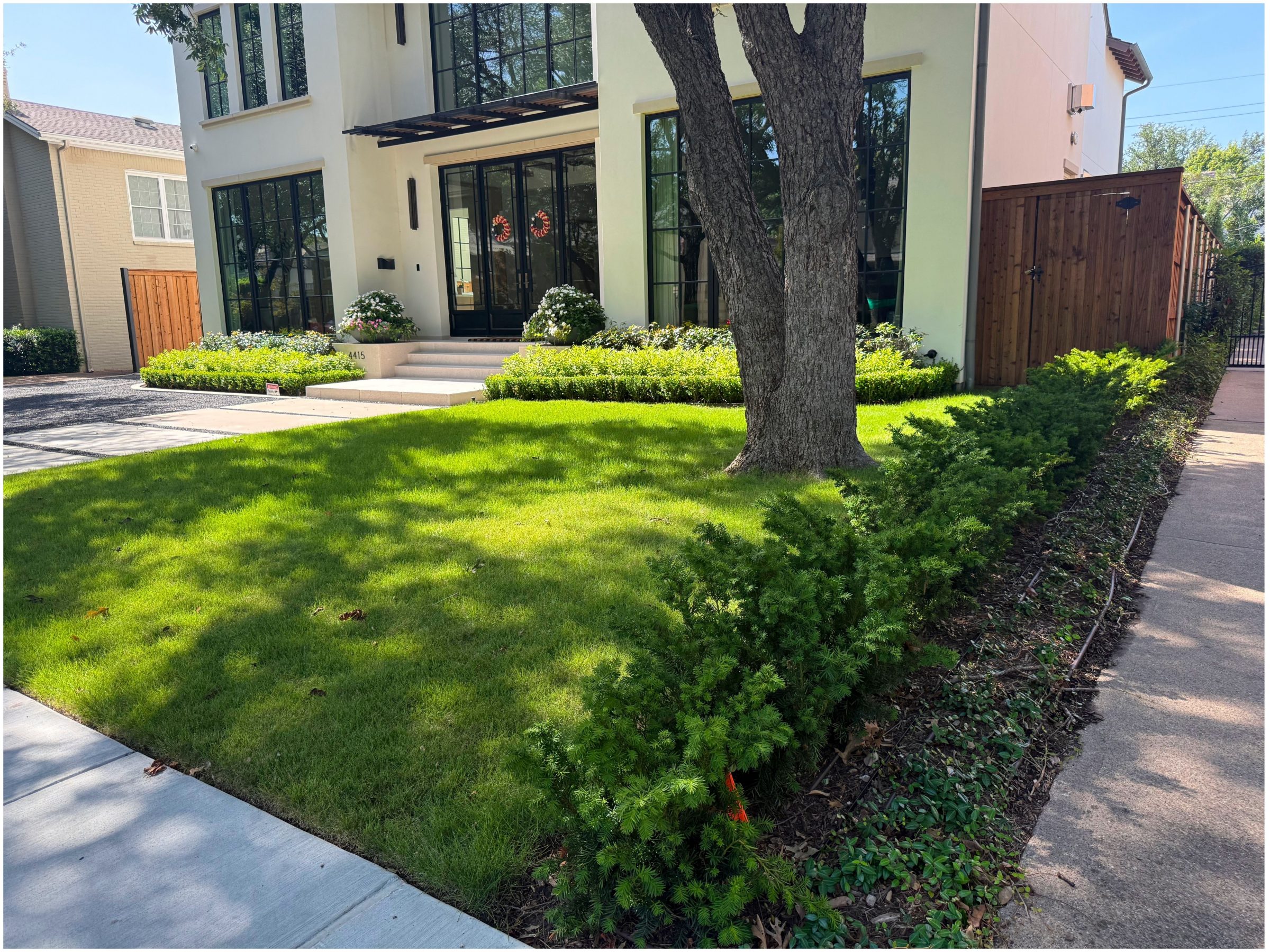 Modern house with a lush green lawn