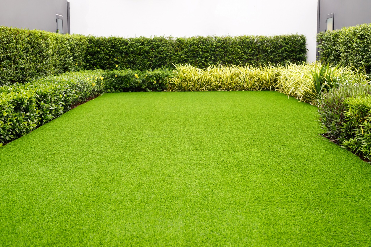 Lush green garden with trimmed hedges and grass.