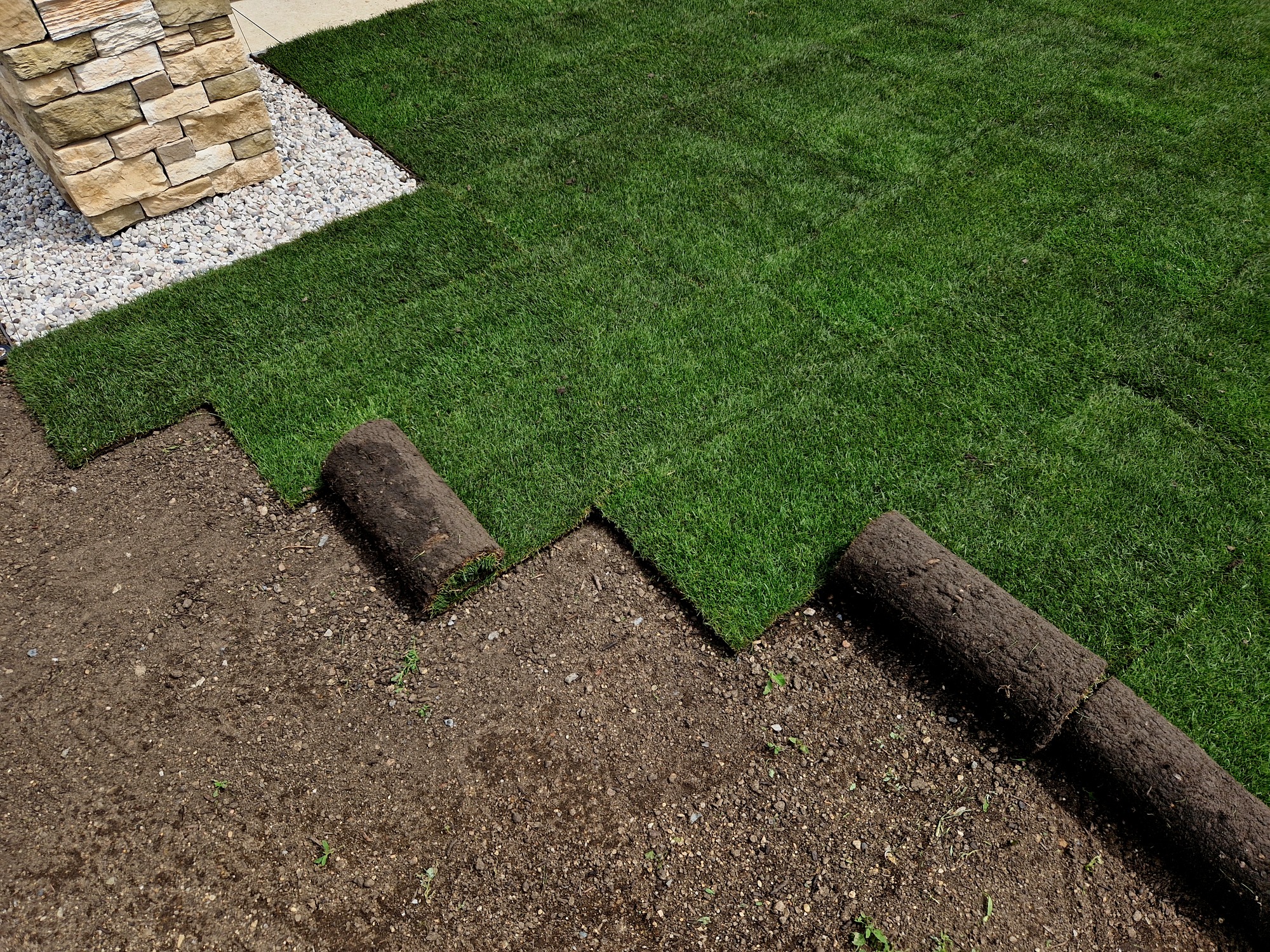 Laying sod for a new lawn installation.