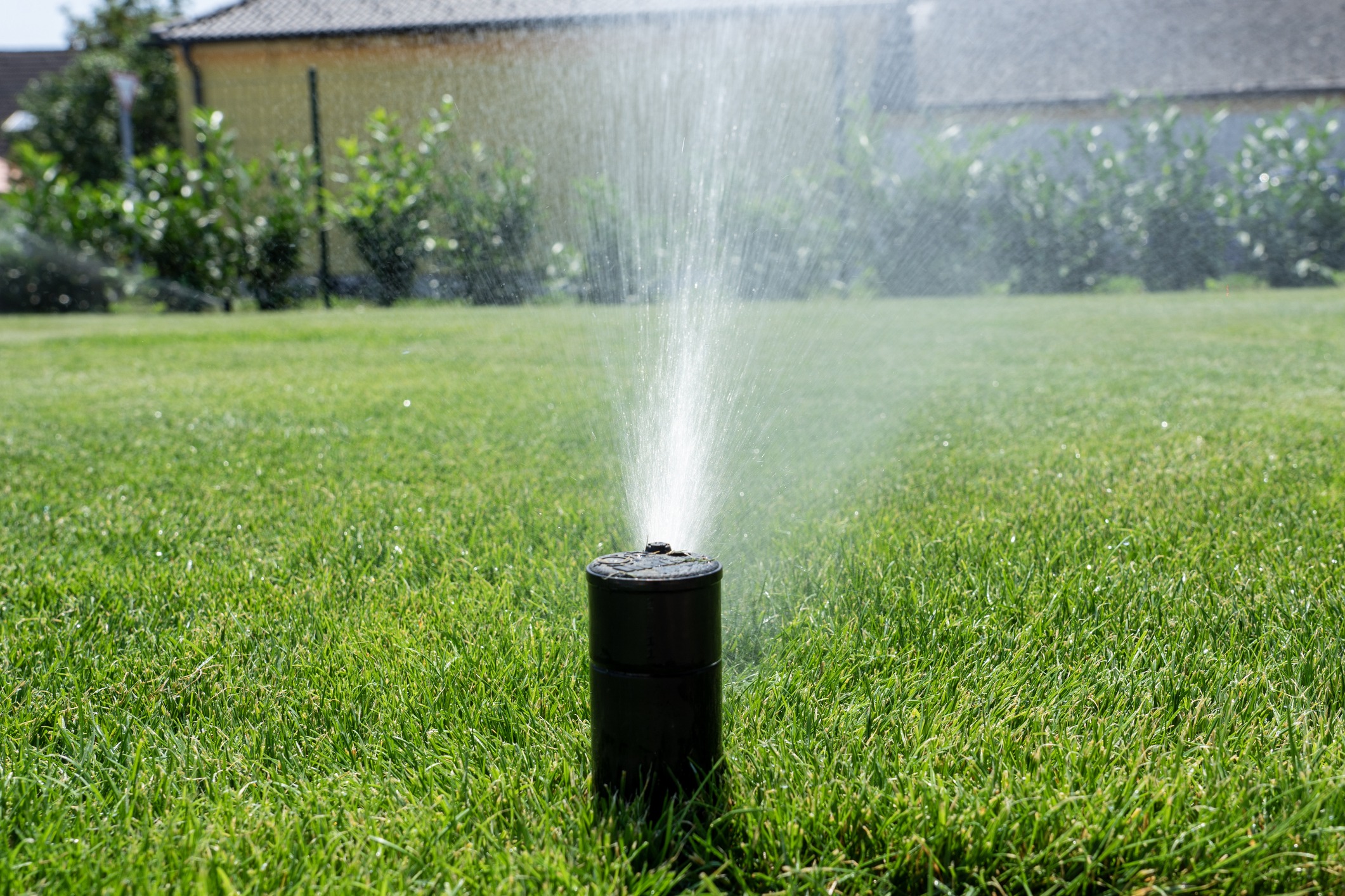 Lawn sprinkler watering grass in garden